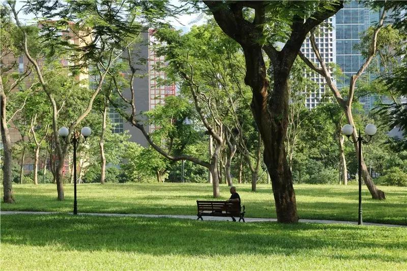 深圳莲花山看深圳风景,深圳莲花山有什么特别的地方