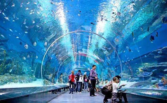 上海旅游交通攻略,上海交通方便的旅游景点