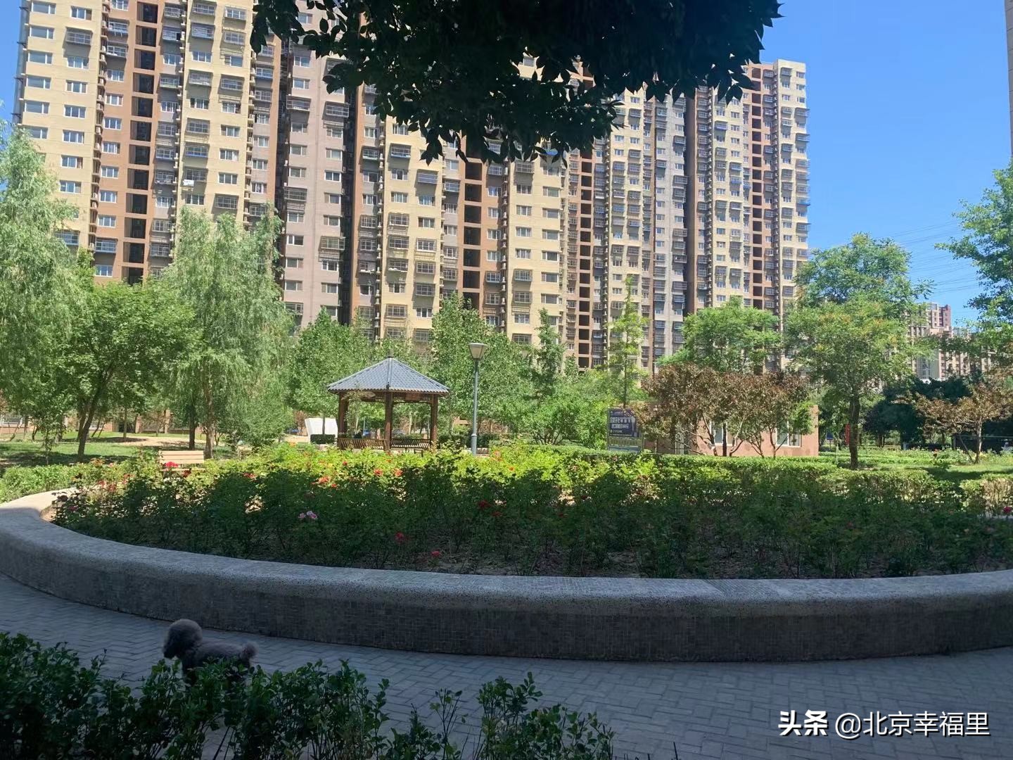 大悦城附近包含哪些小区 (大悦城最好小区图)