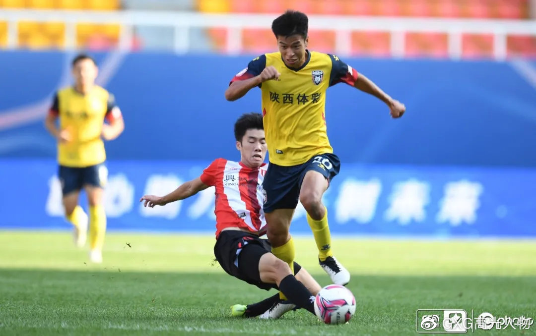 西北狼vs西伯利亚狼,西北狼vs犀牛