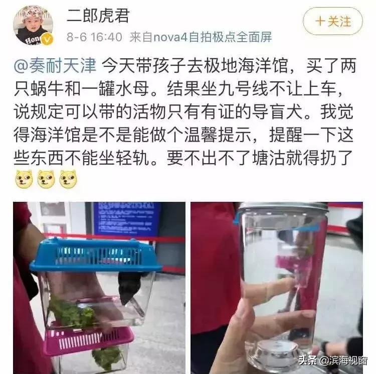 花了大价钱!去极地海洋馆玩买了这个……居然上不了9号线