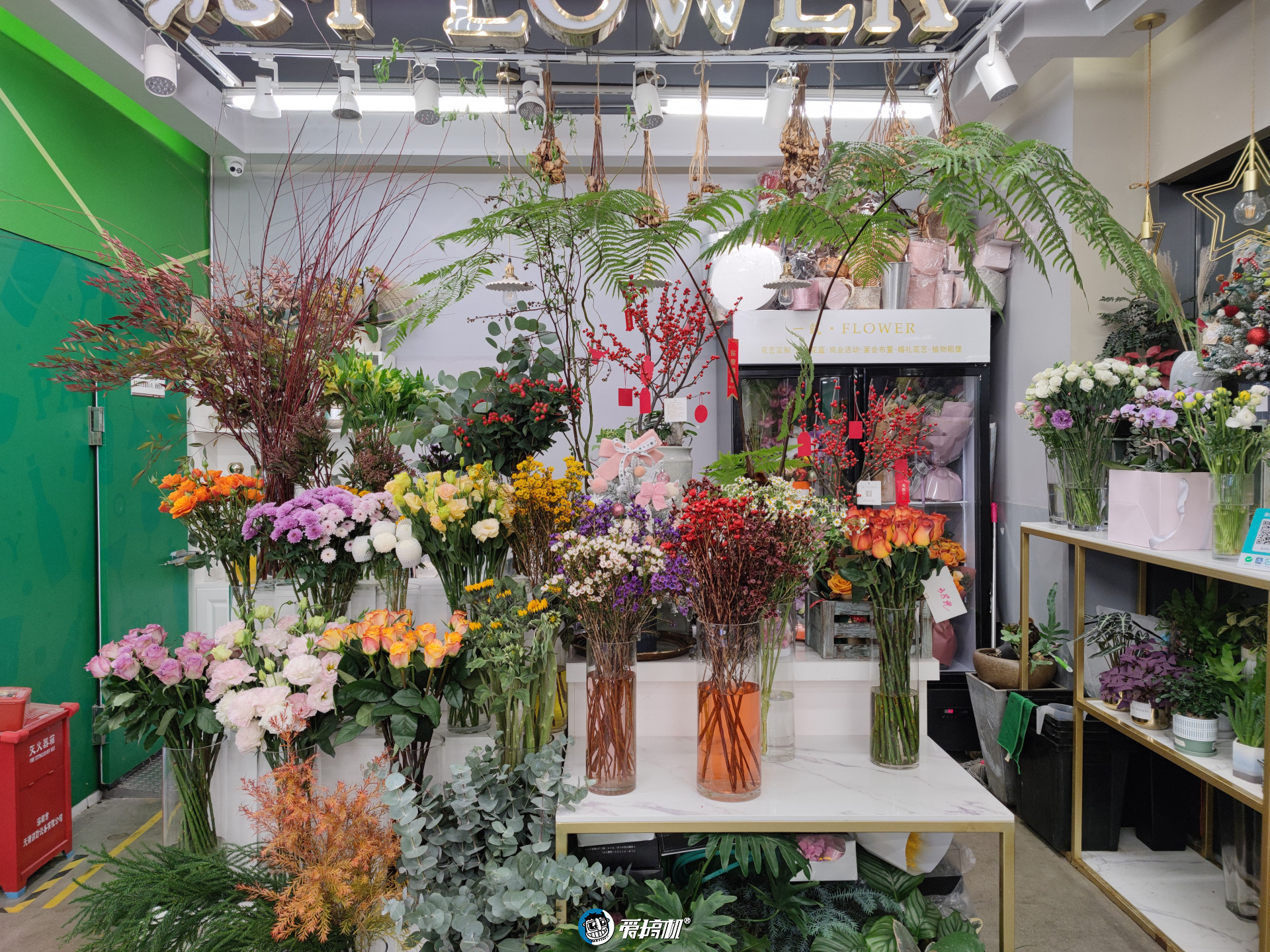 小米11全系列横评,小米11全系列测评