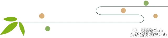 山区赛车拉力赛,山区汽车拉力赛