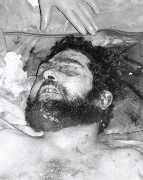 萨达姆之子乌代怎么样,恶魔之子乌代真的假的