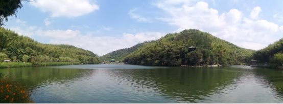 你知道竹海“美容师”吗?她拥有宜兴竹海的最美背影