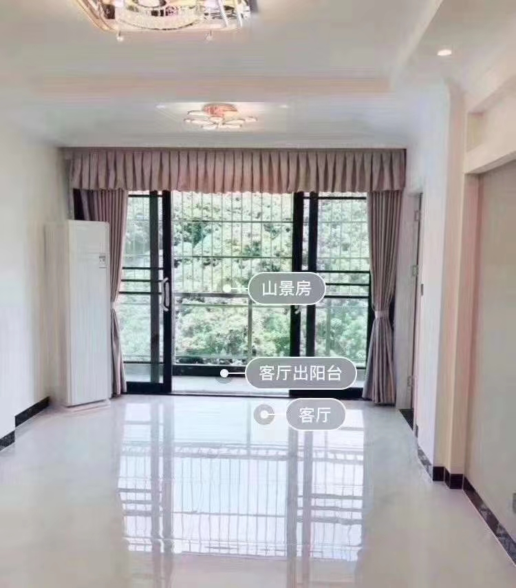 预言2025深圳南山西丽房价,南山西丽目前房价