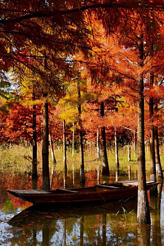 浅谈全国34个省级区域之华东篇：江苏省—宿迁市