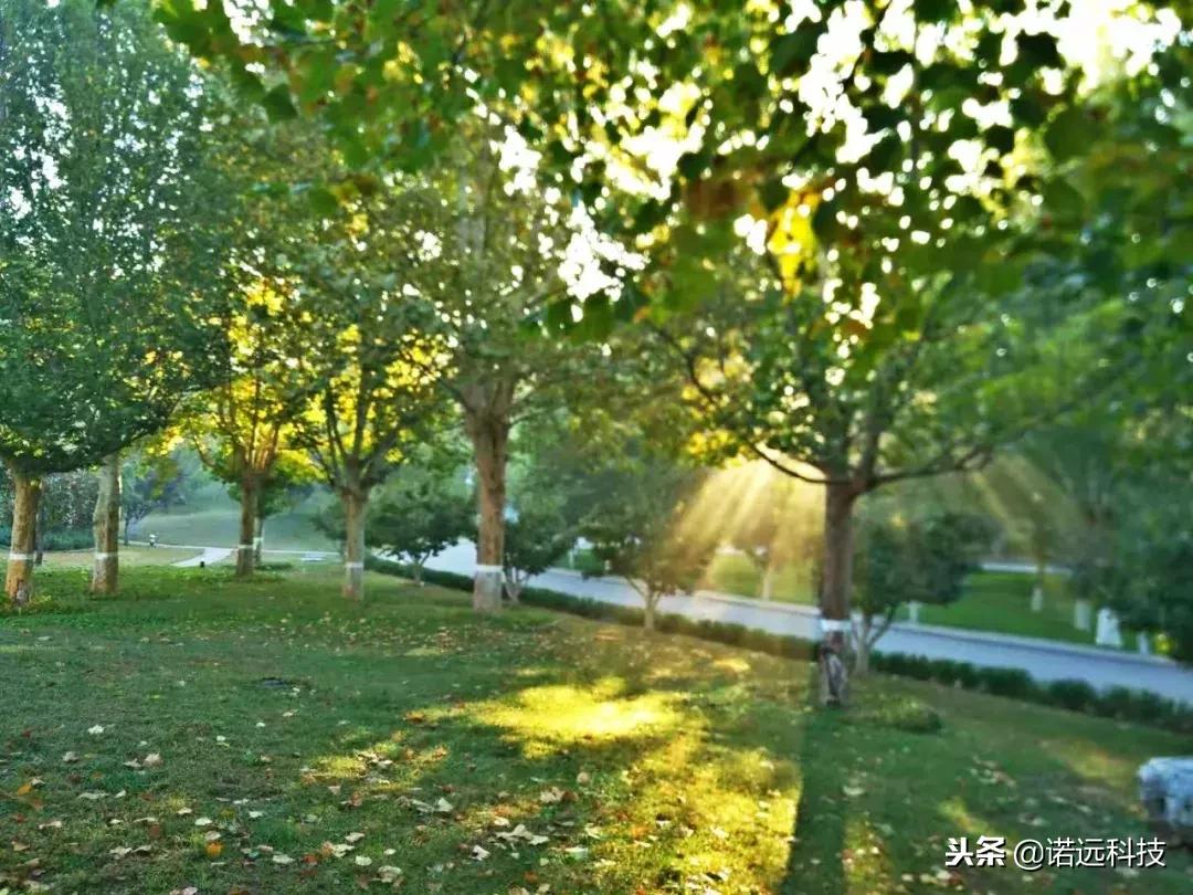 苦行僧般的自律才有所谓的优秀,所有优秀的背后都是苦行僧的自律