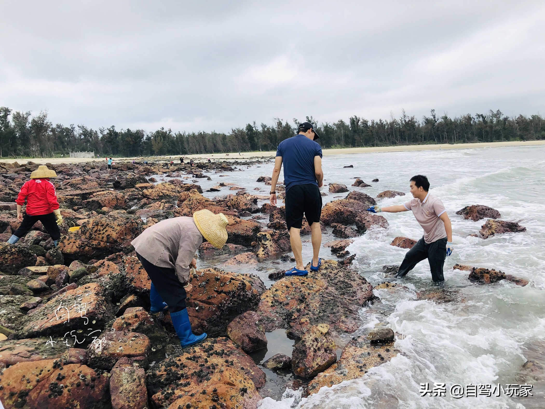 惠州最美礁石海滩,惠州最干净的沙滩推荐