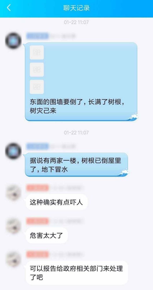 成都网友投诉怡丰新城小区榕树成灾危及行人，高新管委会回应