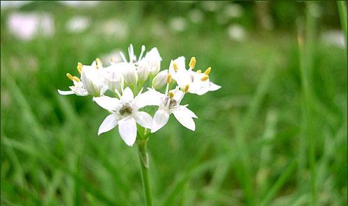 高考英语写作中国文化素材,高考英语作文写作素材常用词汇