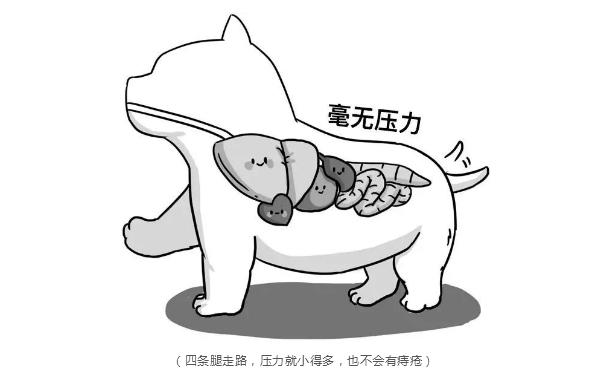 痔疮的奇闻故事,有关痔疮的经典故事