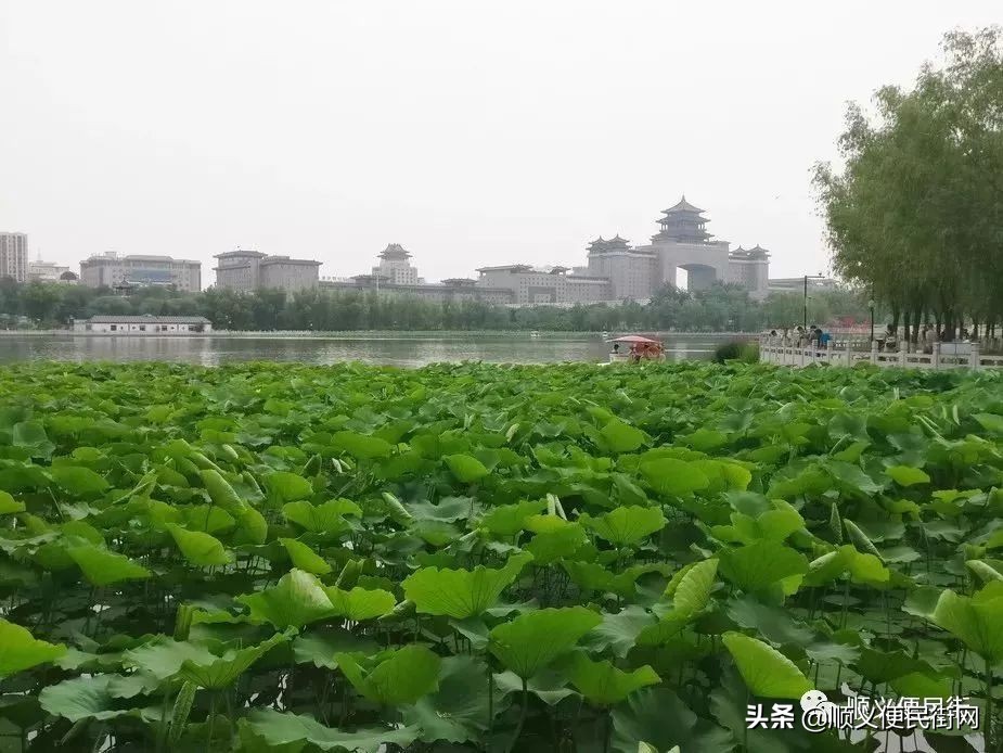 顺义区免费景点排行榜冬天,顺义最良心的八大免费景点