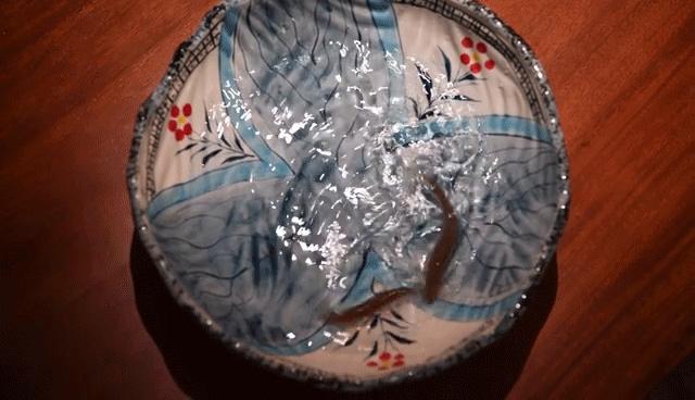 京城Top天妇罗，无法抵挡的金色*物尤**诱惑