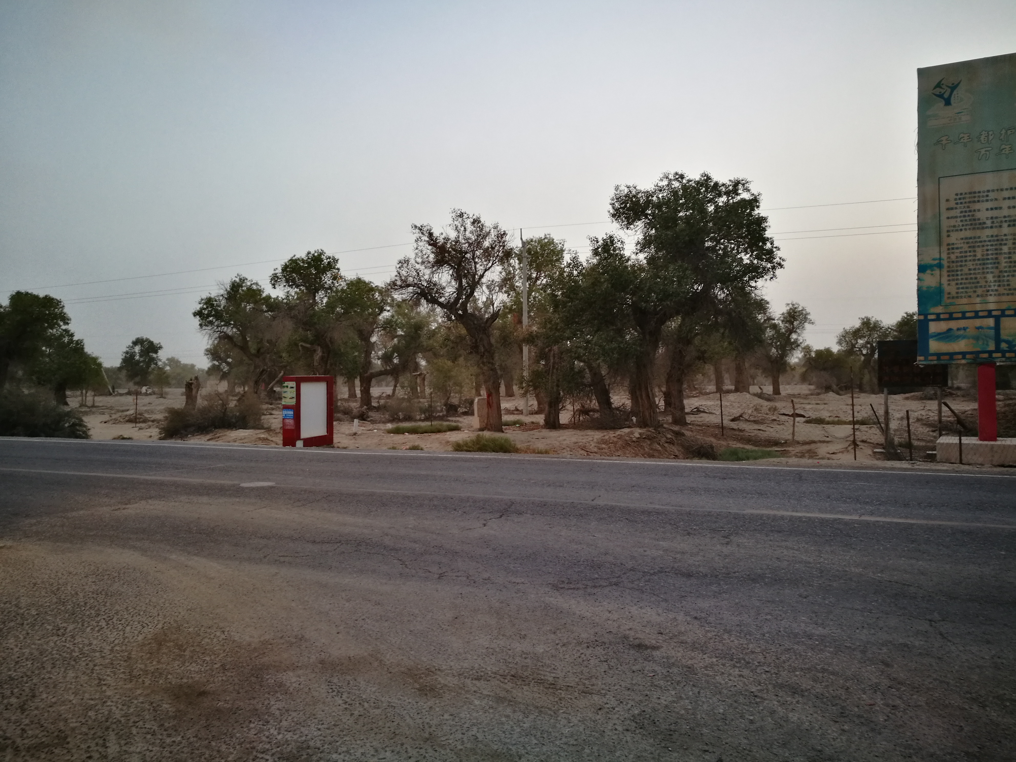 13000公里新手独驾*疆新**第23天——穿越塔克拉玛干沙漠，遭遇陷车