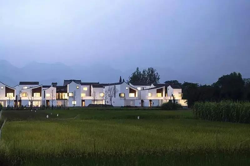 乡村振兴特色文化案例分享,关于乡村振兴比较有创意的点子