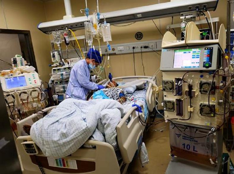 别人打马蜂后路人被攻击怎么办,打死马蜂会被其它马蜂报复吗