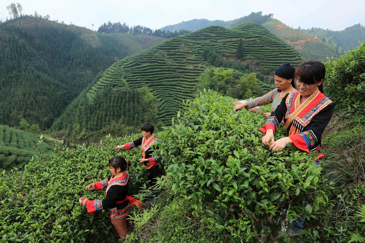 世界瑶都中国金秀,世界瑶都文化产业园