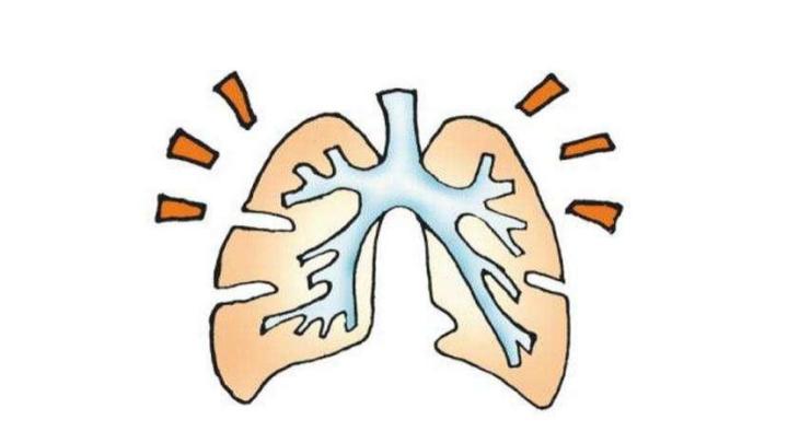 秋冬滋润好帮手,温和呵护不潮湿——摩飞有雾加湿器深度测评