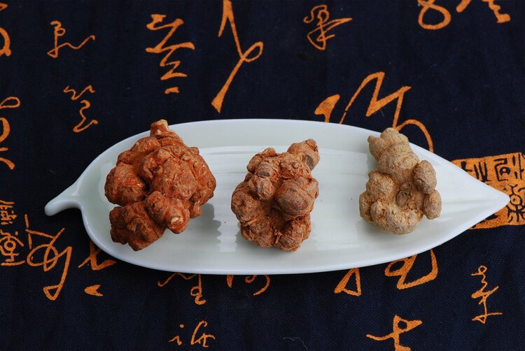 好好的中药药渣应该怎么处理,中药炮制是怎么弄的