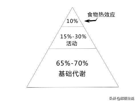 10种公认的健康减肥方法,想要减肥成功必备的8大减肥常识