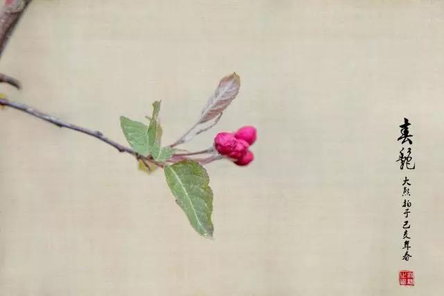 书画污渍清洗,书画上的污迹怎么去掉