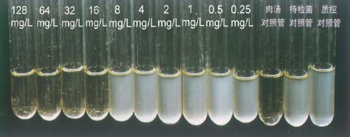 药敏是查什么的,药敏报告是怎么检查