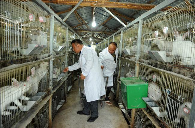 贵州省扶贫干部工作状态,贵州脱贫攻坚基层书记