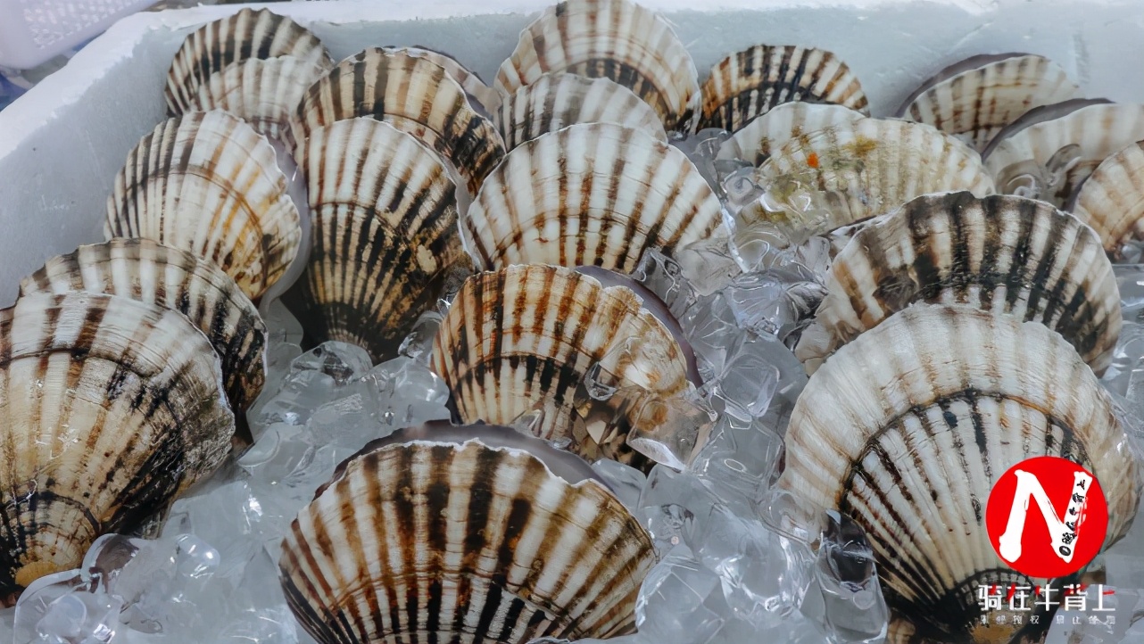 三亚旅行吃喝玩乐,三亚旅游攻略自由行吃喝玩乐