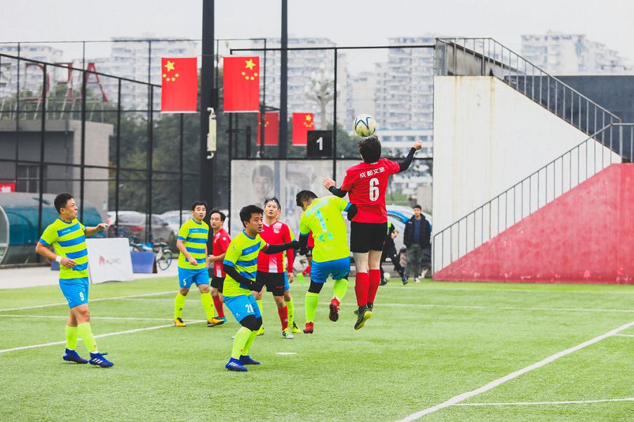 成都文旅熊猫馆直播,成都文旅官方直播