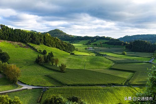 南阳市回收各种药,南阳市最新土地拍卖公告