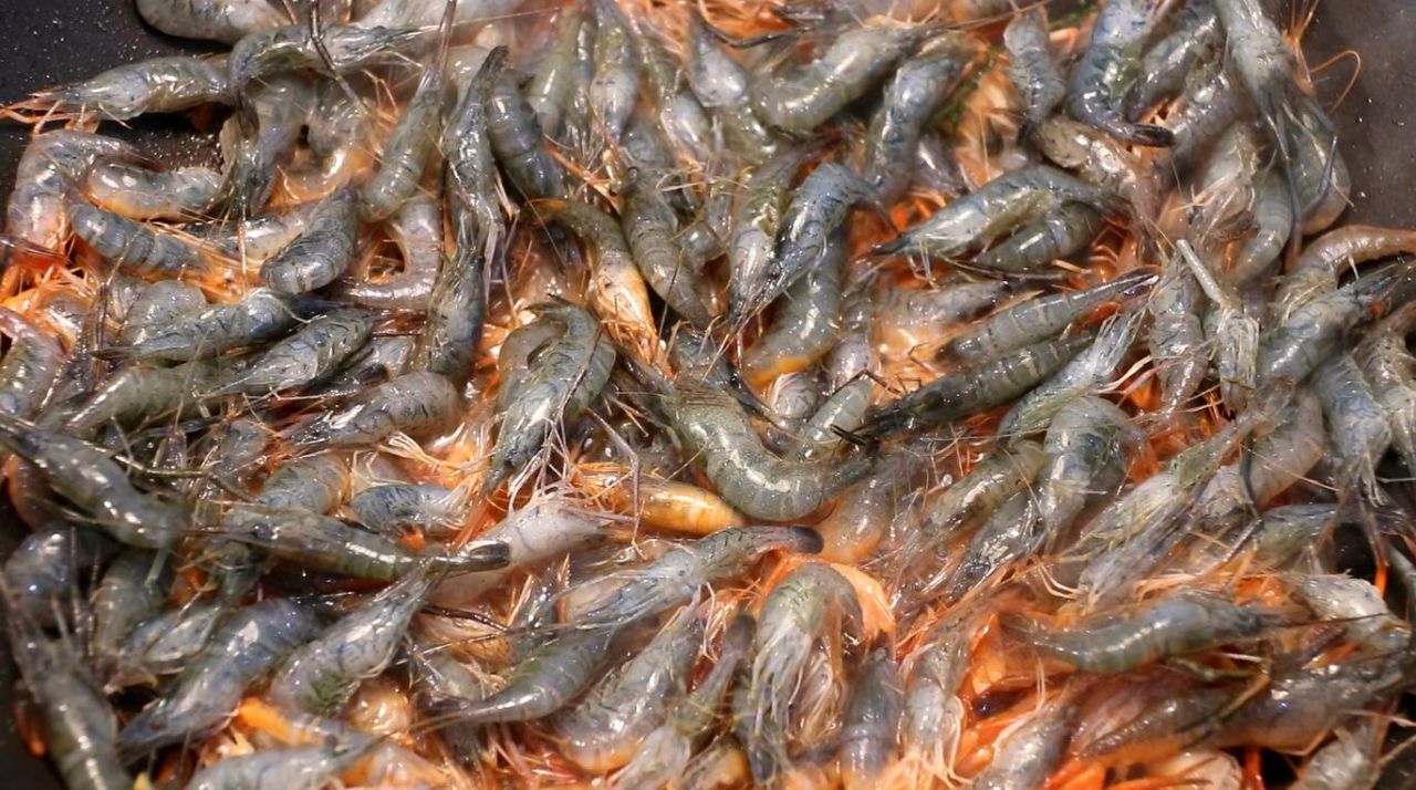 油爆河虾和盐水河虾,河虾做法油爆河虾