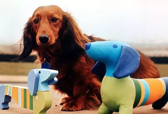 历年冬奥会会标图片,各届奥运会和冬奥会标志