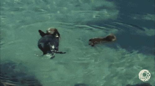 人类的精子是如何来的,人类精子从何而来