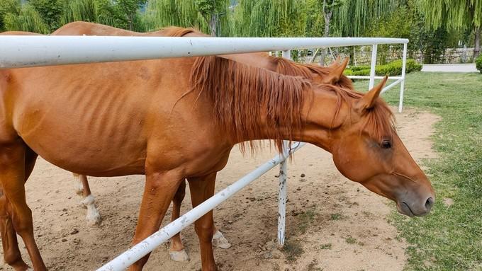 谁说去海边是夏天的专利？秋意正浓，三天两夜玩转烟威刚刚好！