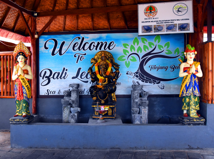 印度尼西亚各种岛深度游,邂逅印度尼西亚巴厘岛