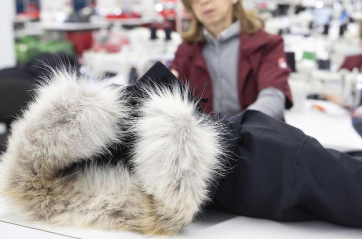 加拿大鹅与国产羽绒服哪个好,国产羽绒服堪比加拿大鹅