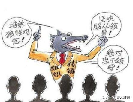 传销骗局洗脑喝鸡汤,传销骗局洗脑段子