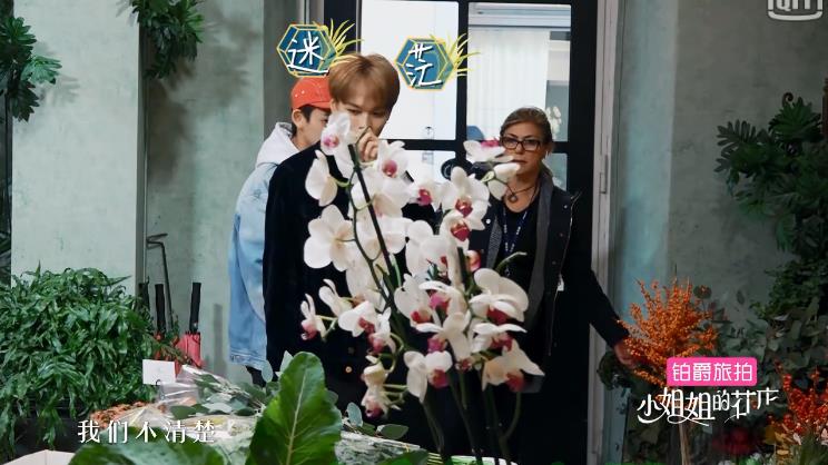 小姐姐的花店小鬼林彦俊要离开,花店小s宋佳林彦俊