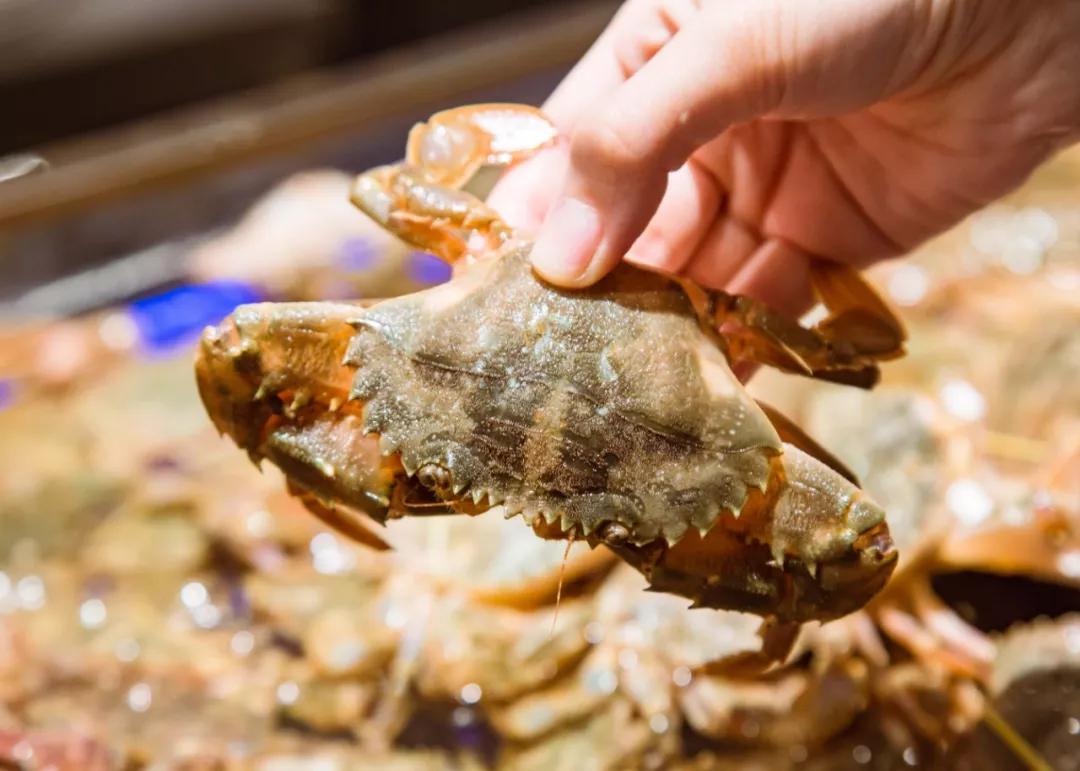 太强了！平价海鲜自助战斗机，0.63元/一道菜