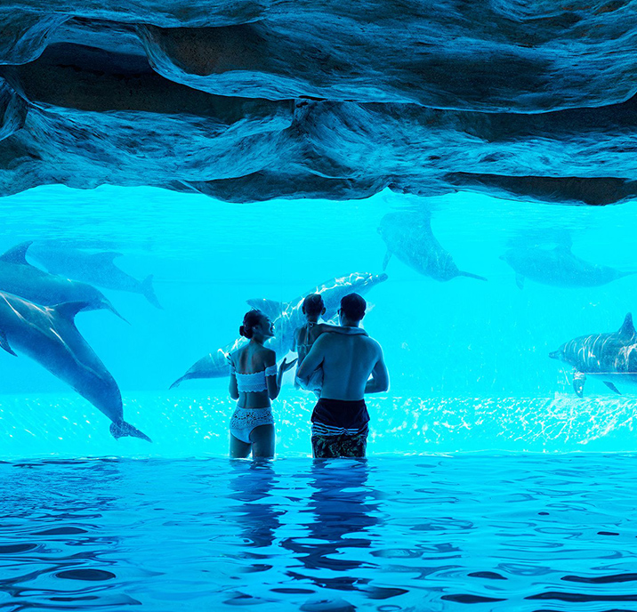 珠海长隆酒店排行榜,珠海长隆度假区三个酒店哪个好