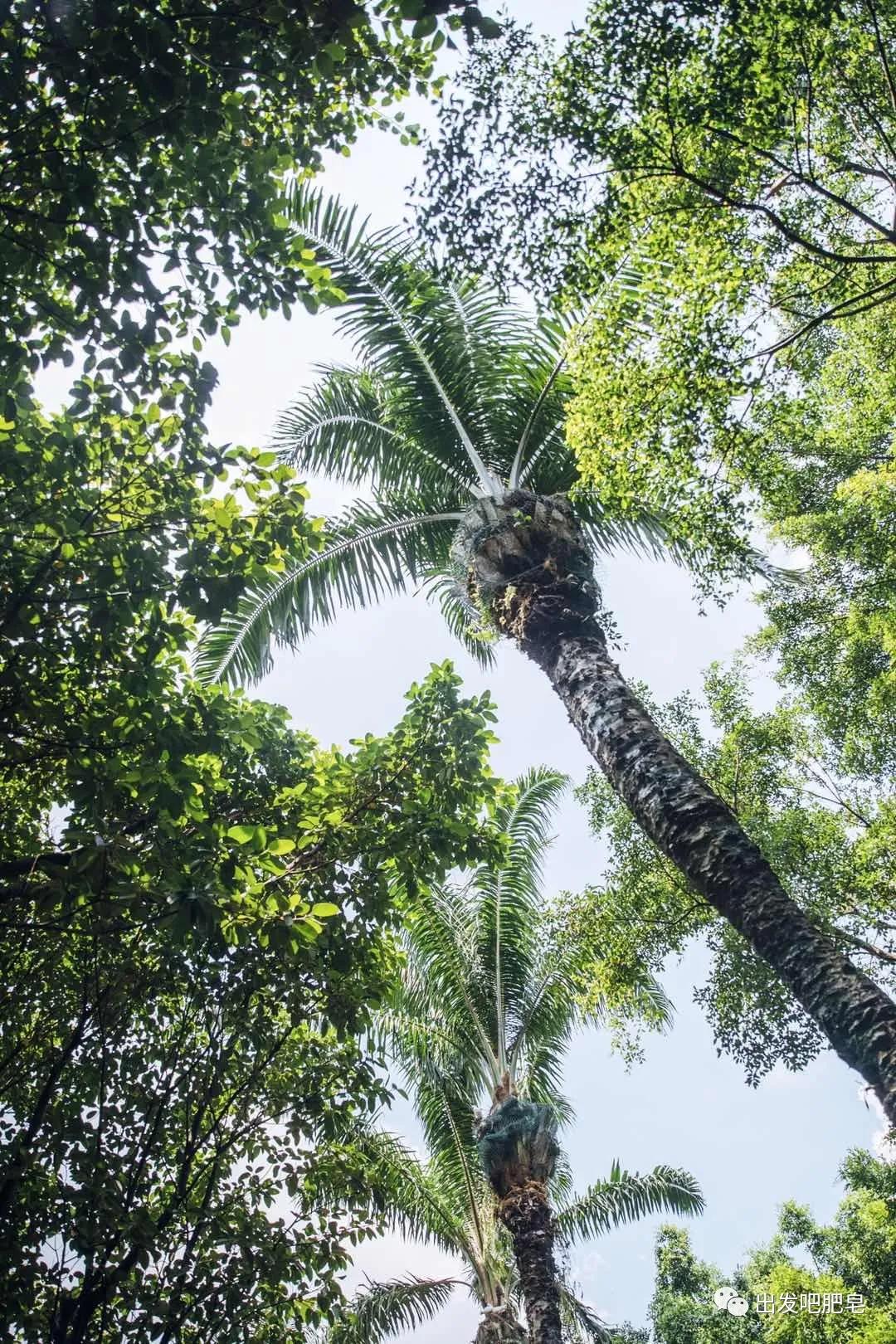长隆飞鸟乐园怎么去长隆欢乐世界,汉溪长隆地铁站去长隆飞鸟乐园