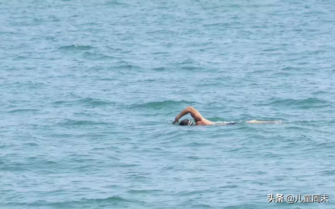 藏不住了深圳小众秘境免费邂逅,藏不住了打卡地