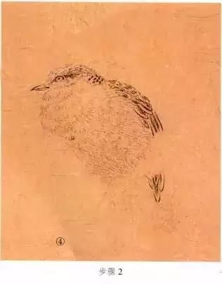 苏百钧工笔国画教学视频,苏百钧花鸟白描画稿