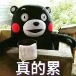 难用网红产品测评,难用的网红爆款