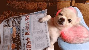 泰国吃喝玩乐全攻略,超全的泰国出行指南出门前必看