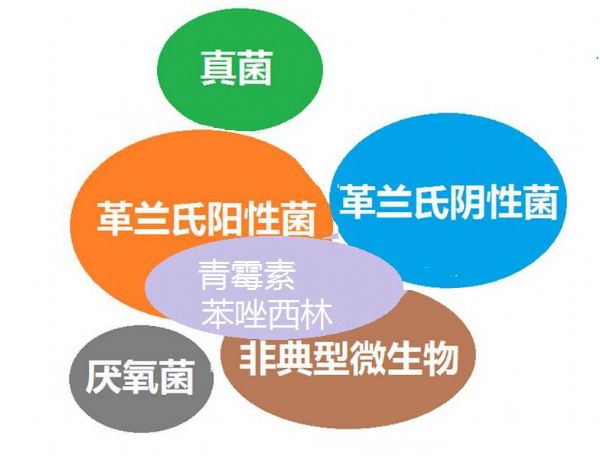 看图“话”抗菌谱，赶紧收藏