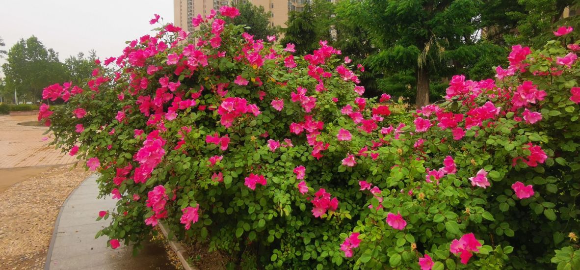 烟台福山区的生态园,我眼中福州的烟台山风景