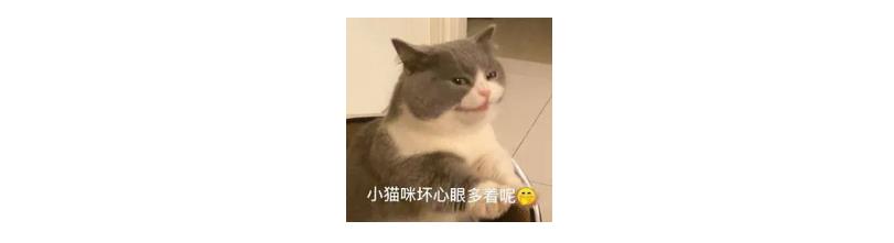 岳阳林纸股票涨幅是多少,岳阳林纸股票未来一周走势预测