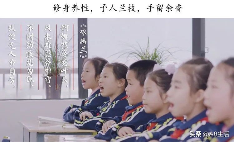 每日一品花草图片,每日一品